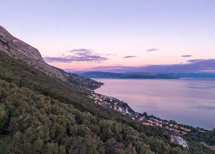 Carpea By White Dream